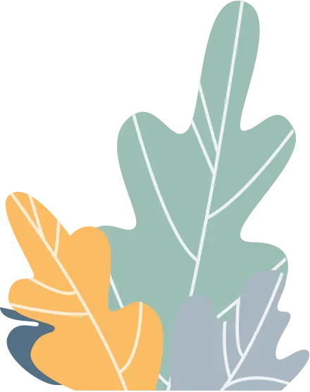 Leaves